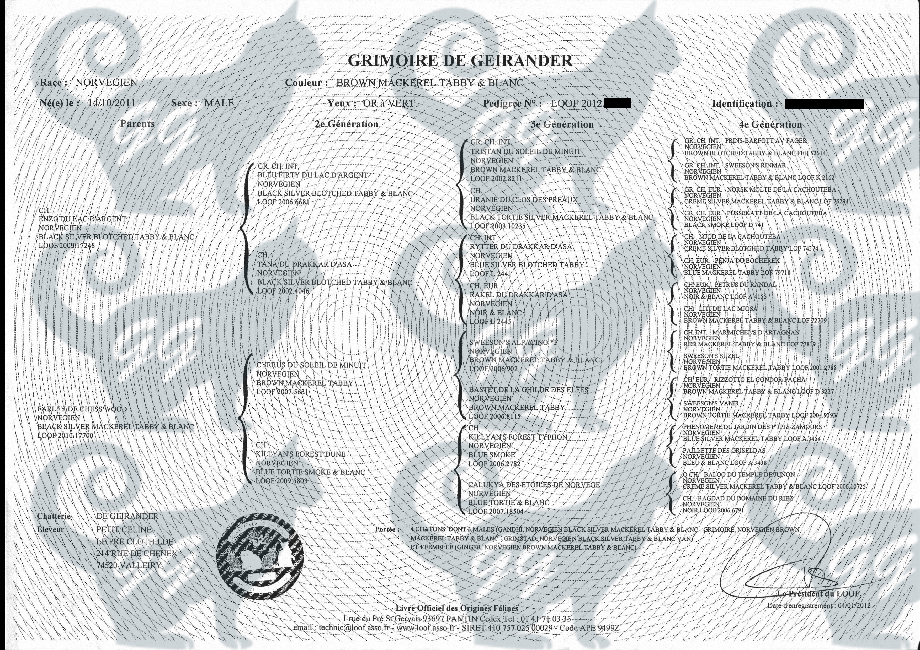grimoire de geuirander