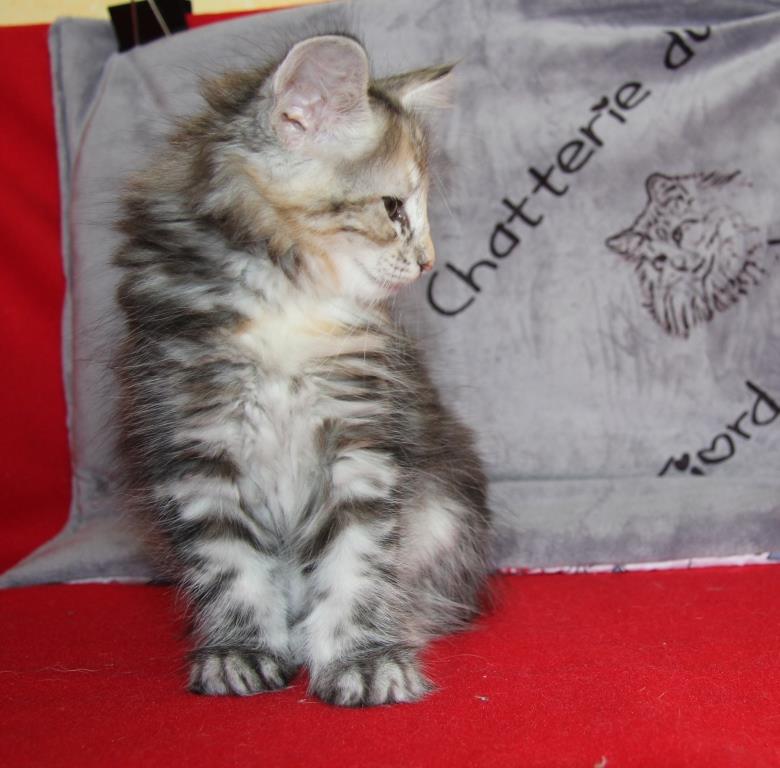 2 mois