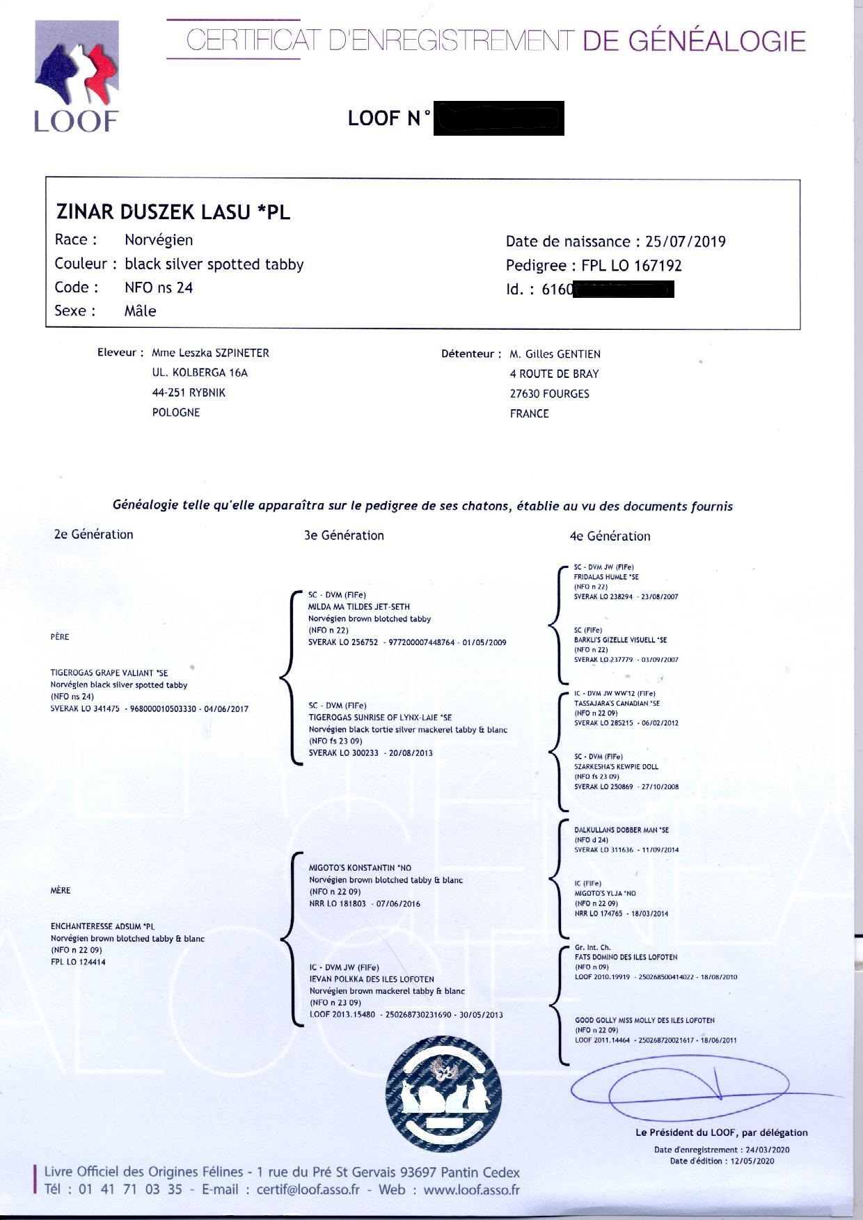 Zinar Duszek Lasu *PL