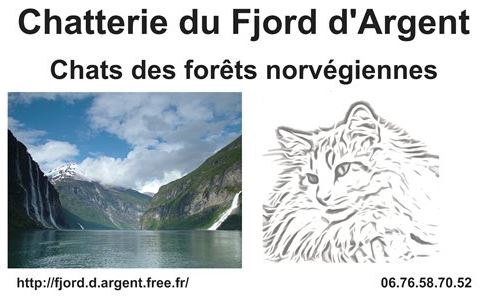 banniere Fjord d'Argent