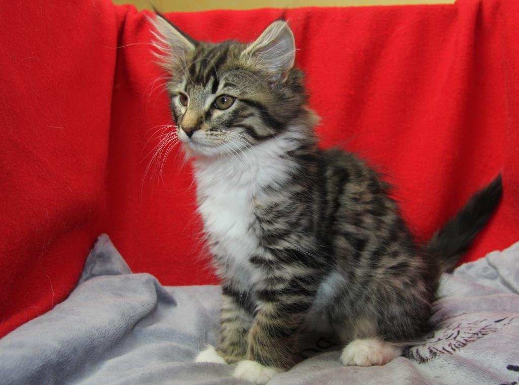 wally 1mois et une semaine