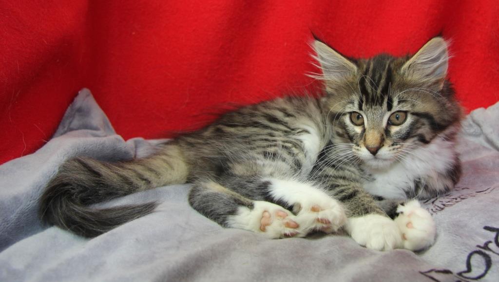 wally 1mois et une semaine
